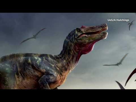 Cientistas acham restos do maior carnívoro que já existiu na Europa